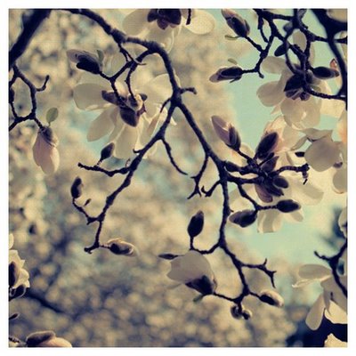 [a[1].Picture+057.jpg]